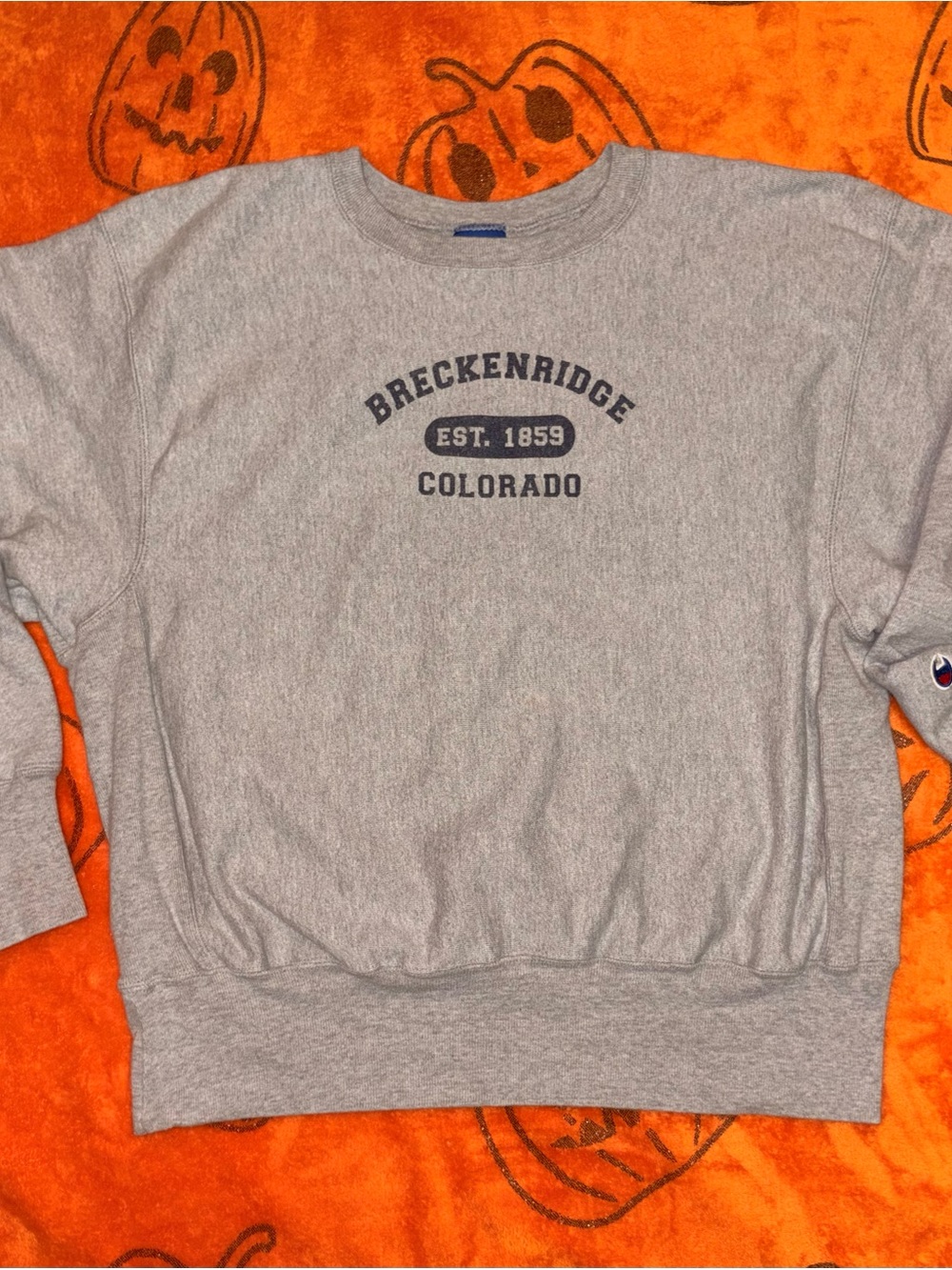Vintage Champion Gray 'Breckenridge Colorado' Crewneck Sweatshirt